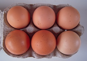 Large hen-eggs