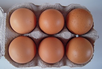 medium hen-eggs