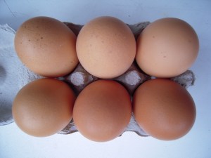 xl hen eggs